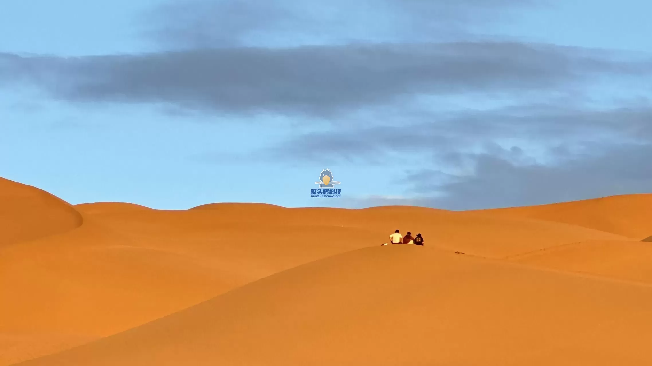 Venturing into the Heart of the Desert