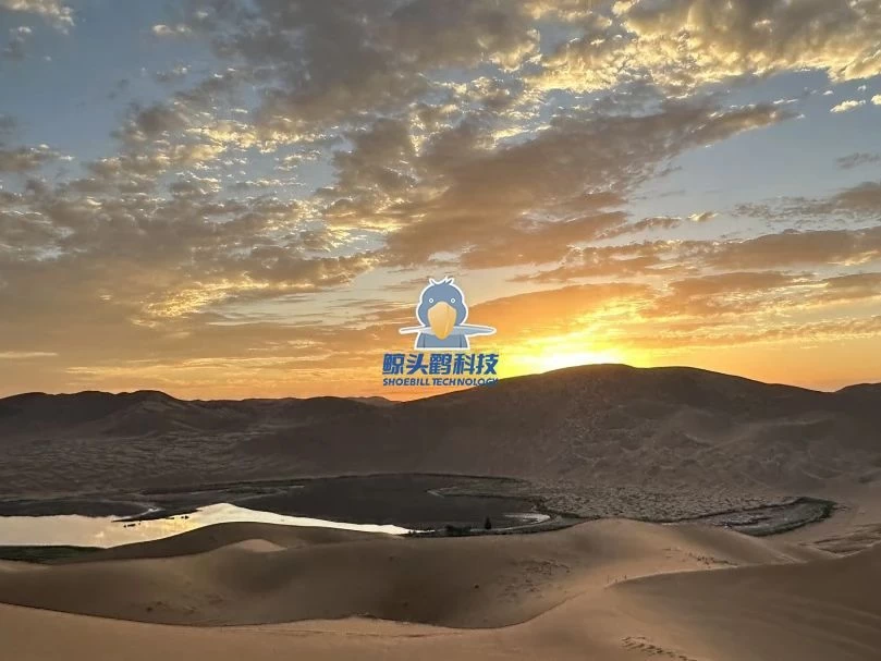 Venturing into the Heart of the Desert